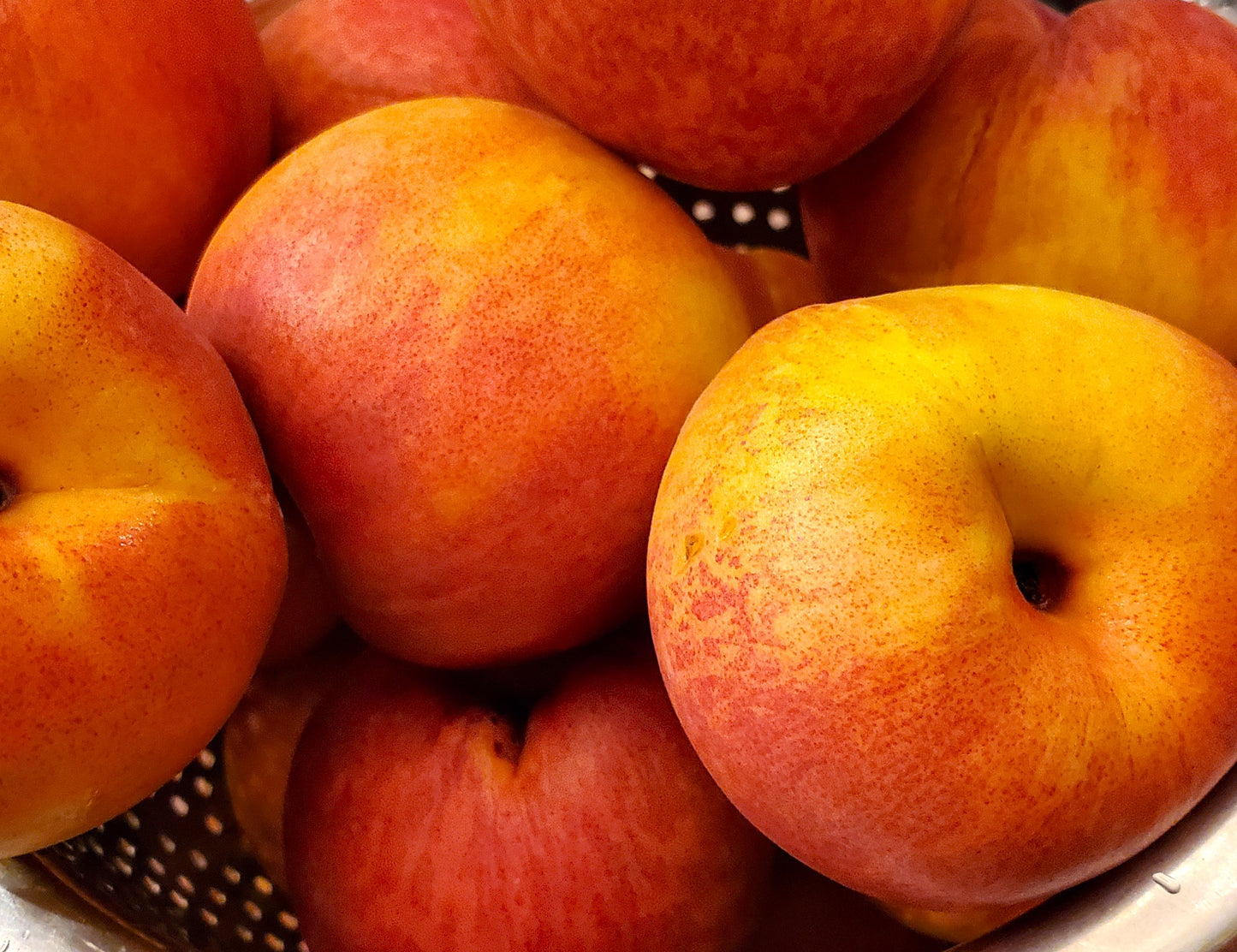 A Day at the Peach