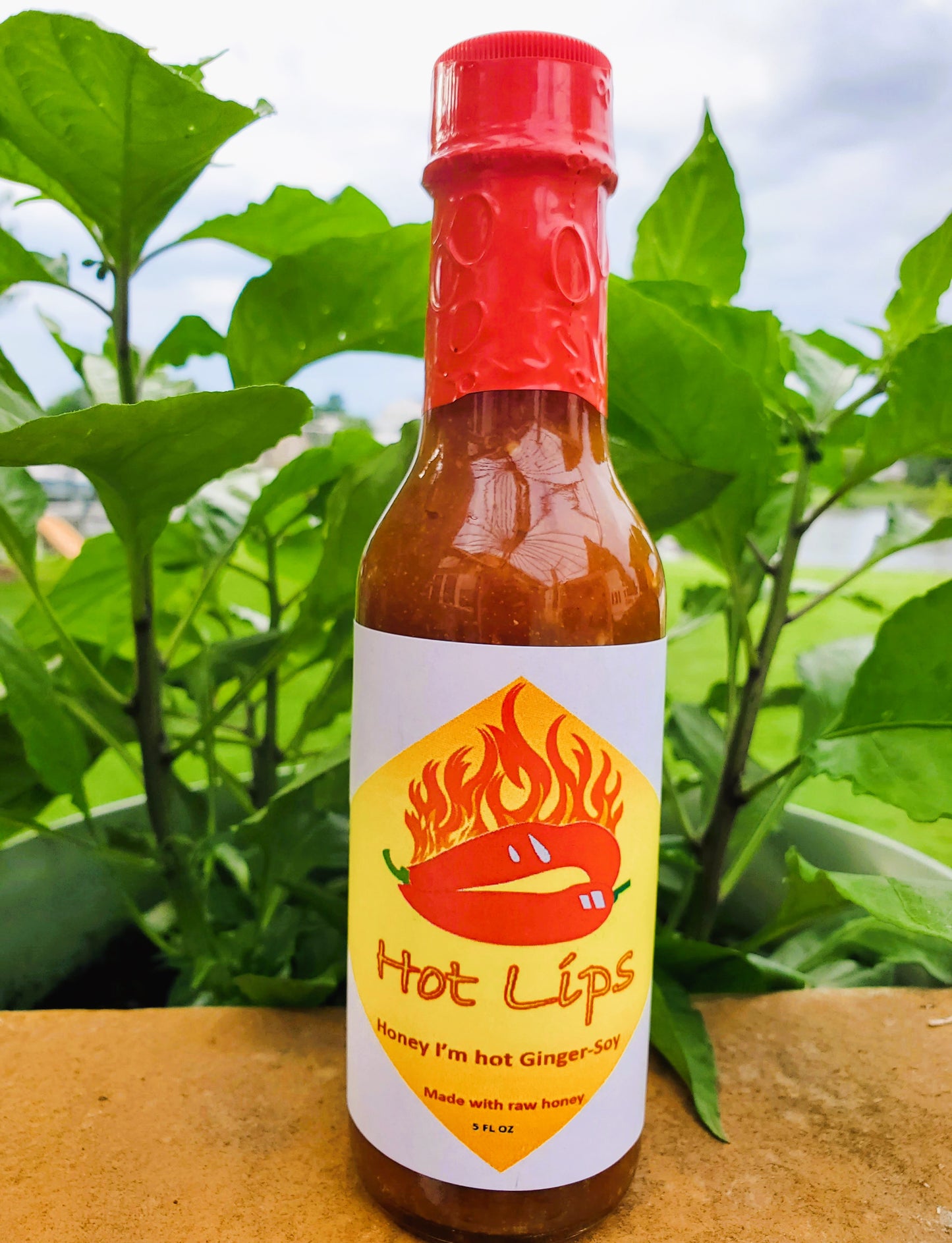 Honey I'm Hot Ginger Soy