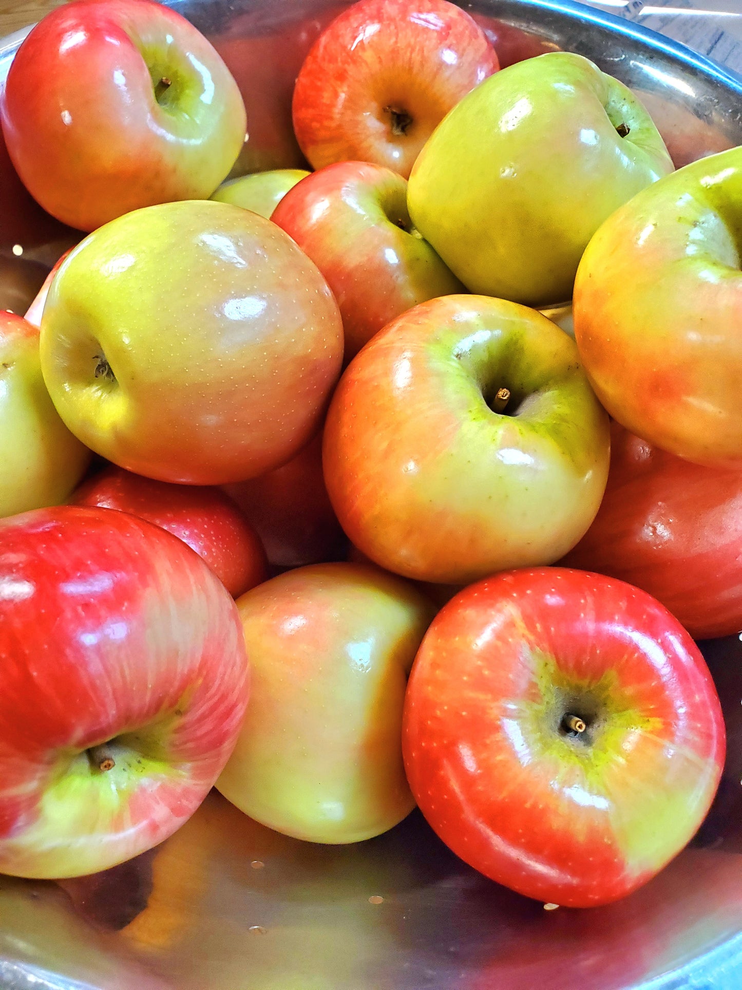 Apple Craving - Check back soon!! – Hot Lips
