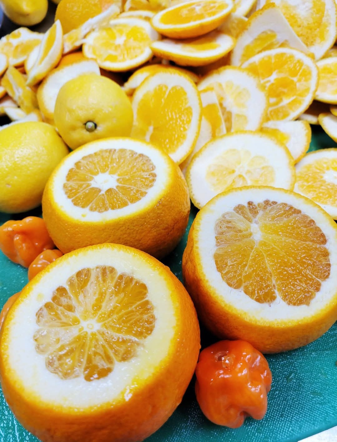 NEW! Citrus Explosion